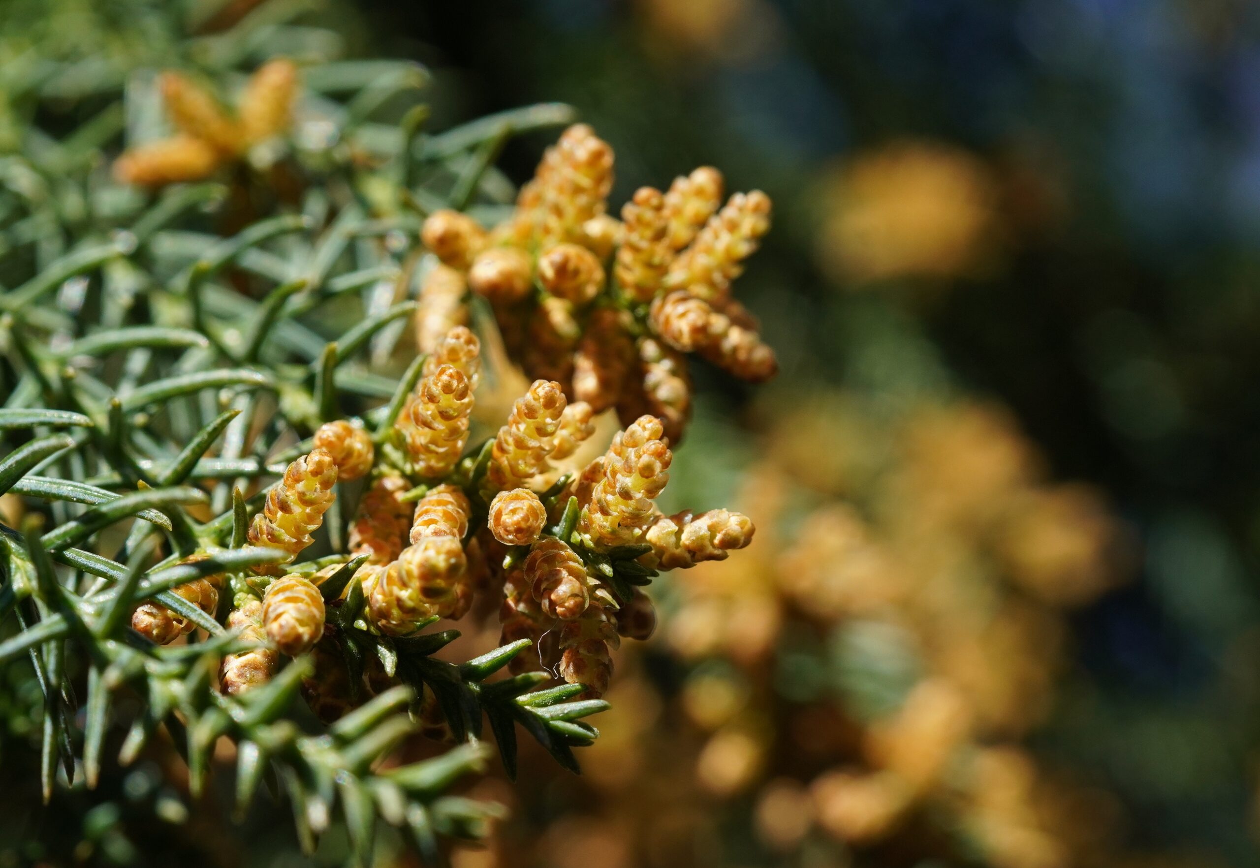 桜坂くすだこどもクリニック